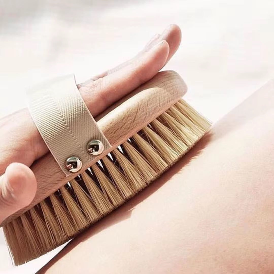 Brosse de Brossage à sec