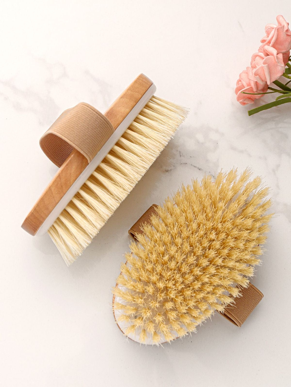 Brosse de Brossage à sec